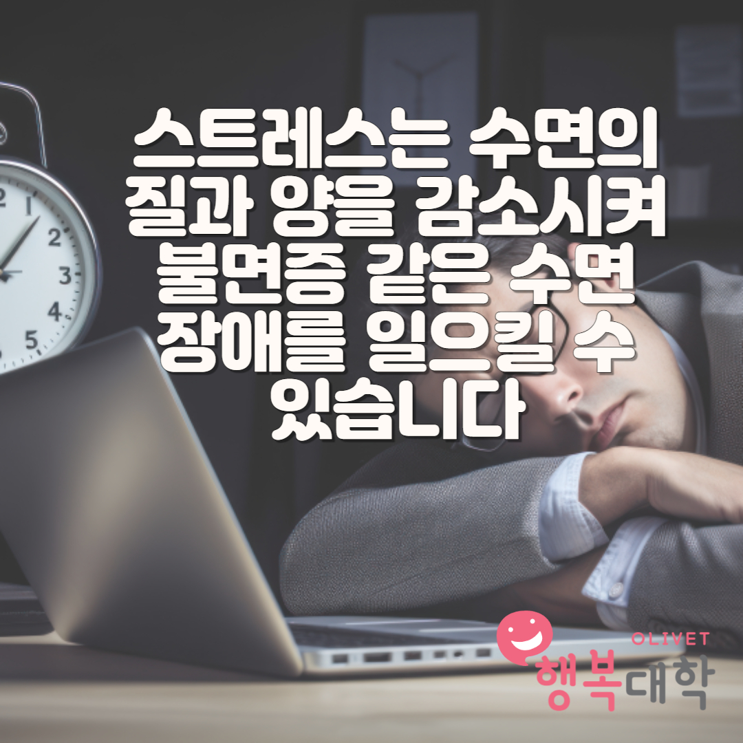 올리벳 행복대학  https://happyuniv.or.kr/