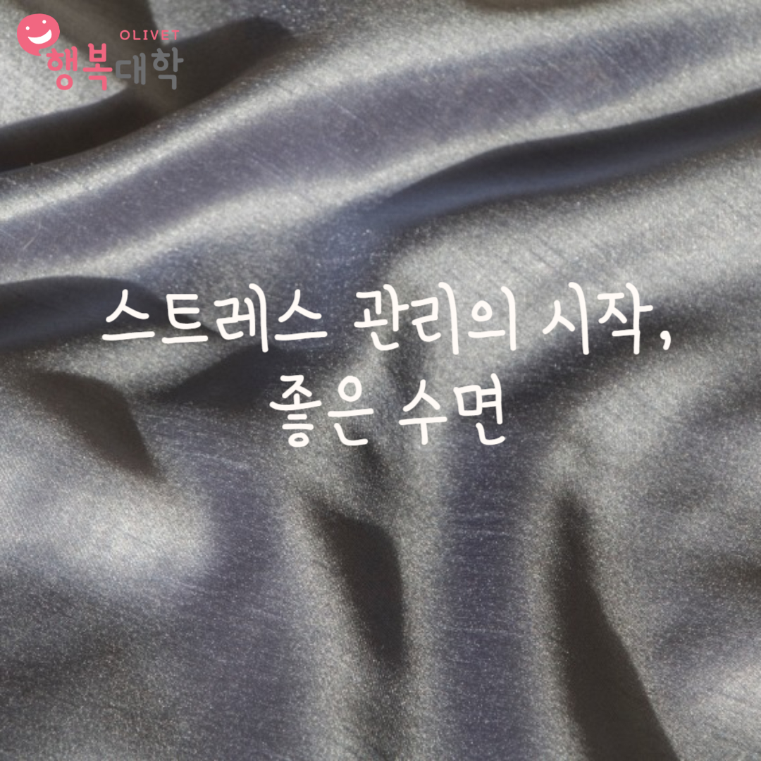 올리벳 행복대학  https://happyuniv.or.kr/